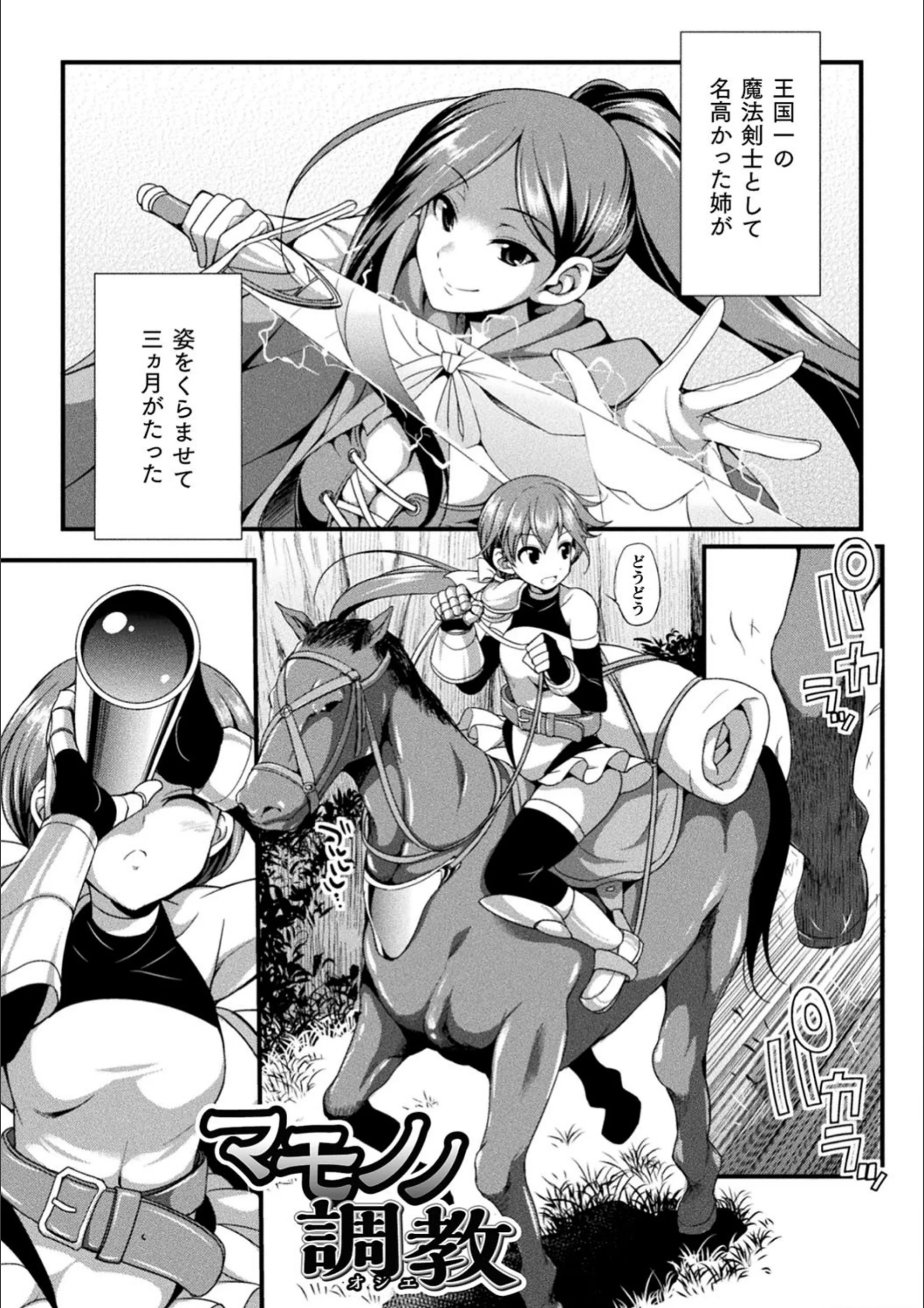 サンプル 43