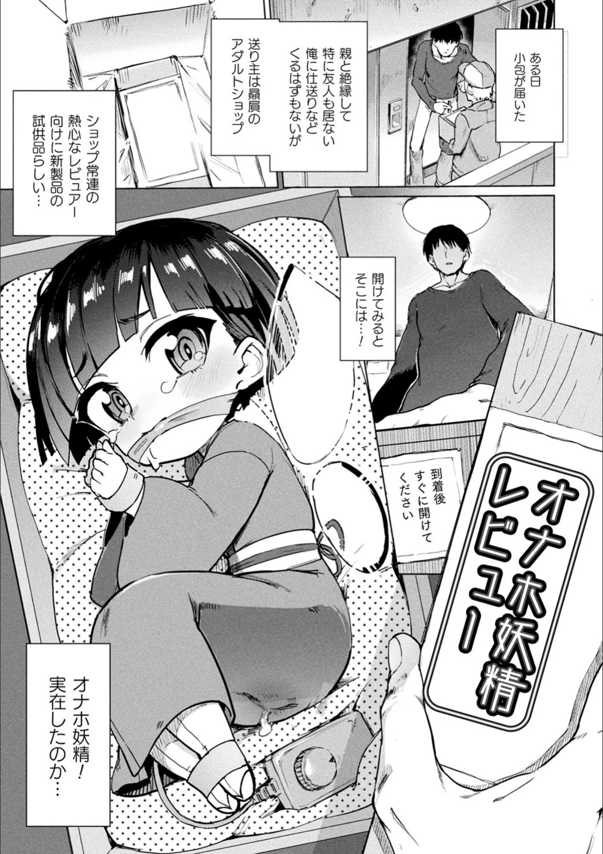 サンプル 31