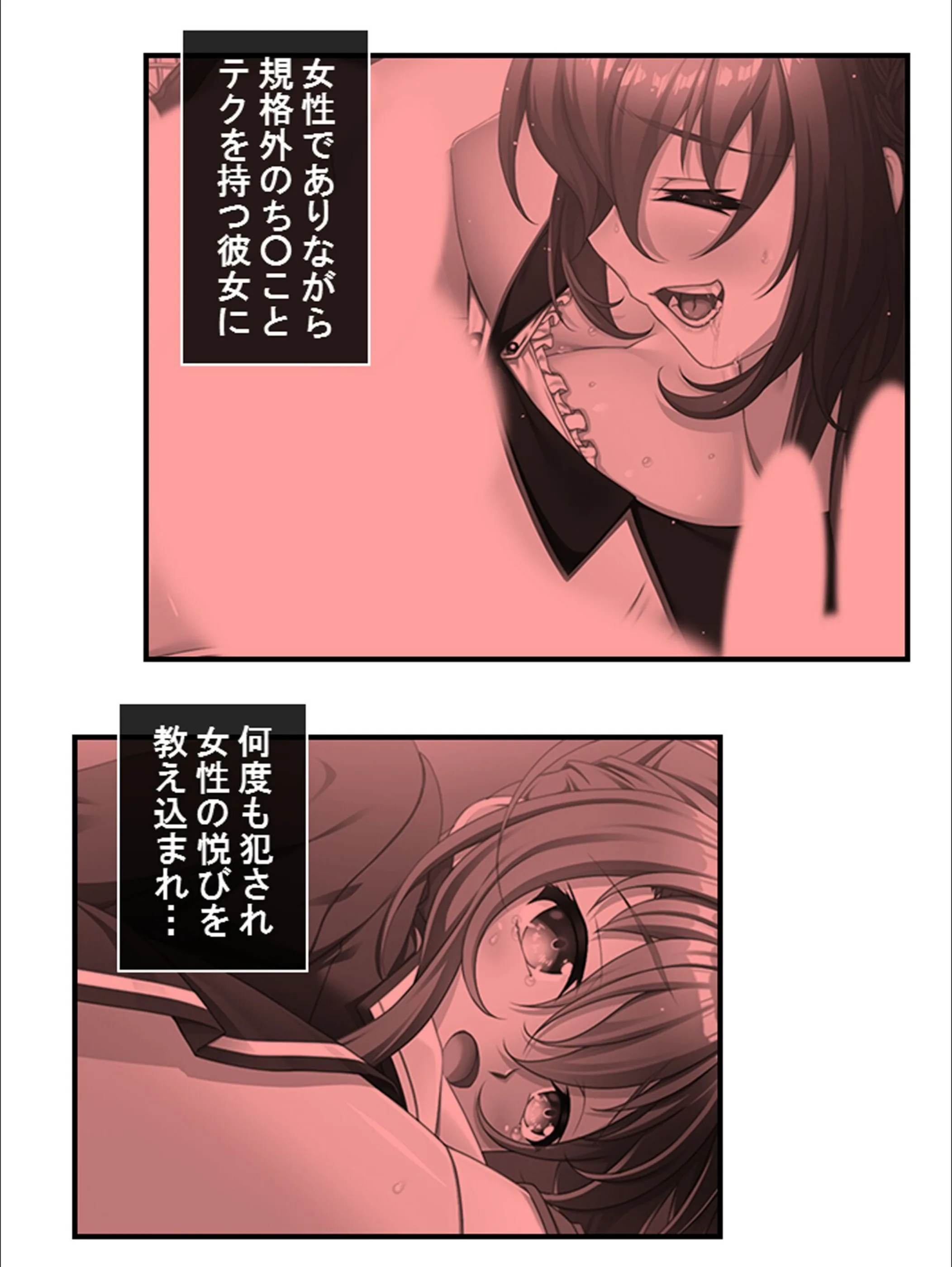 サンプル 15