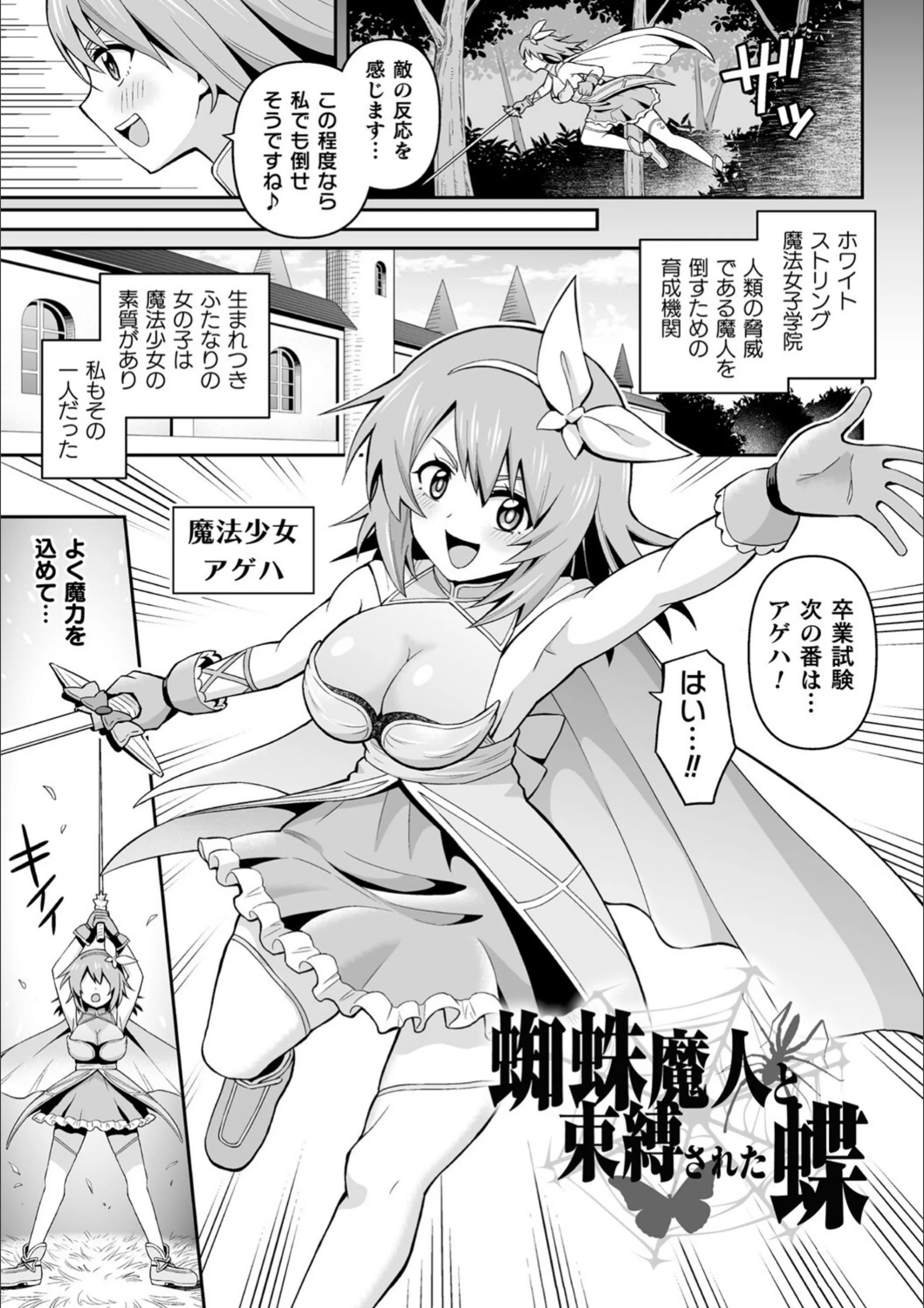 サンプル 29