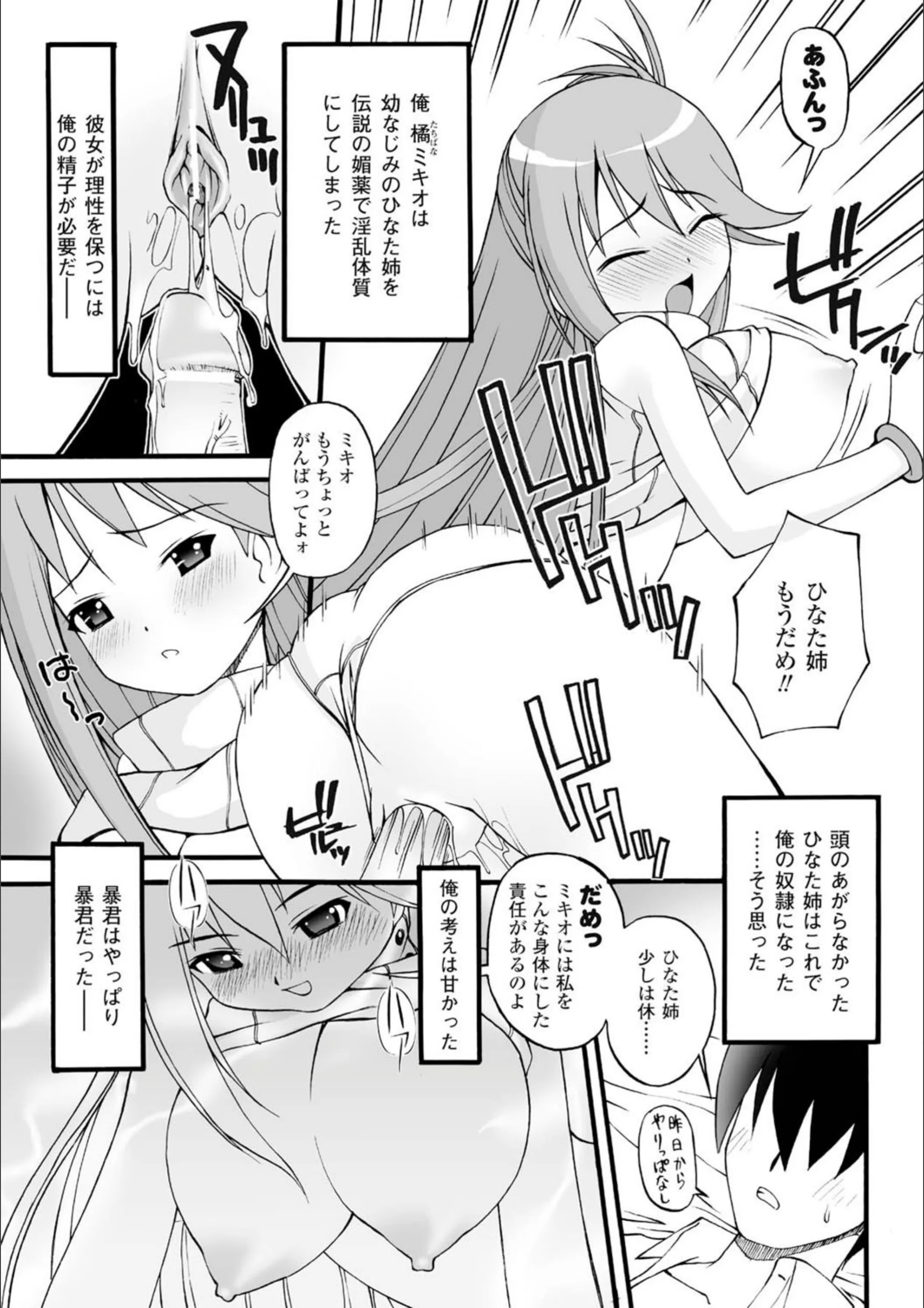 サンプル 3