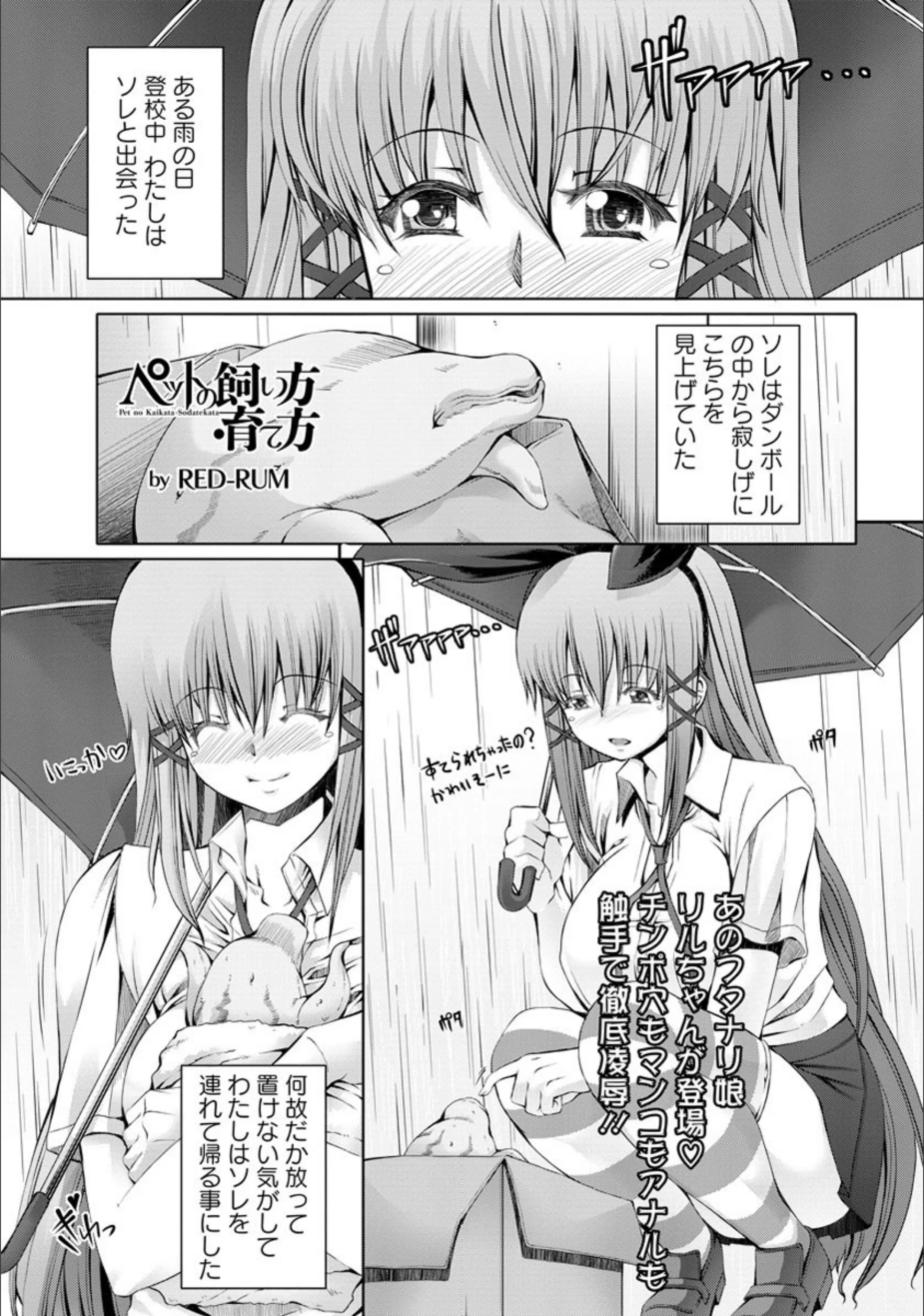 サンプル 1