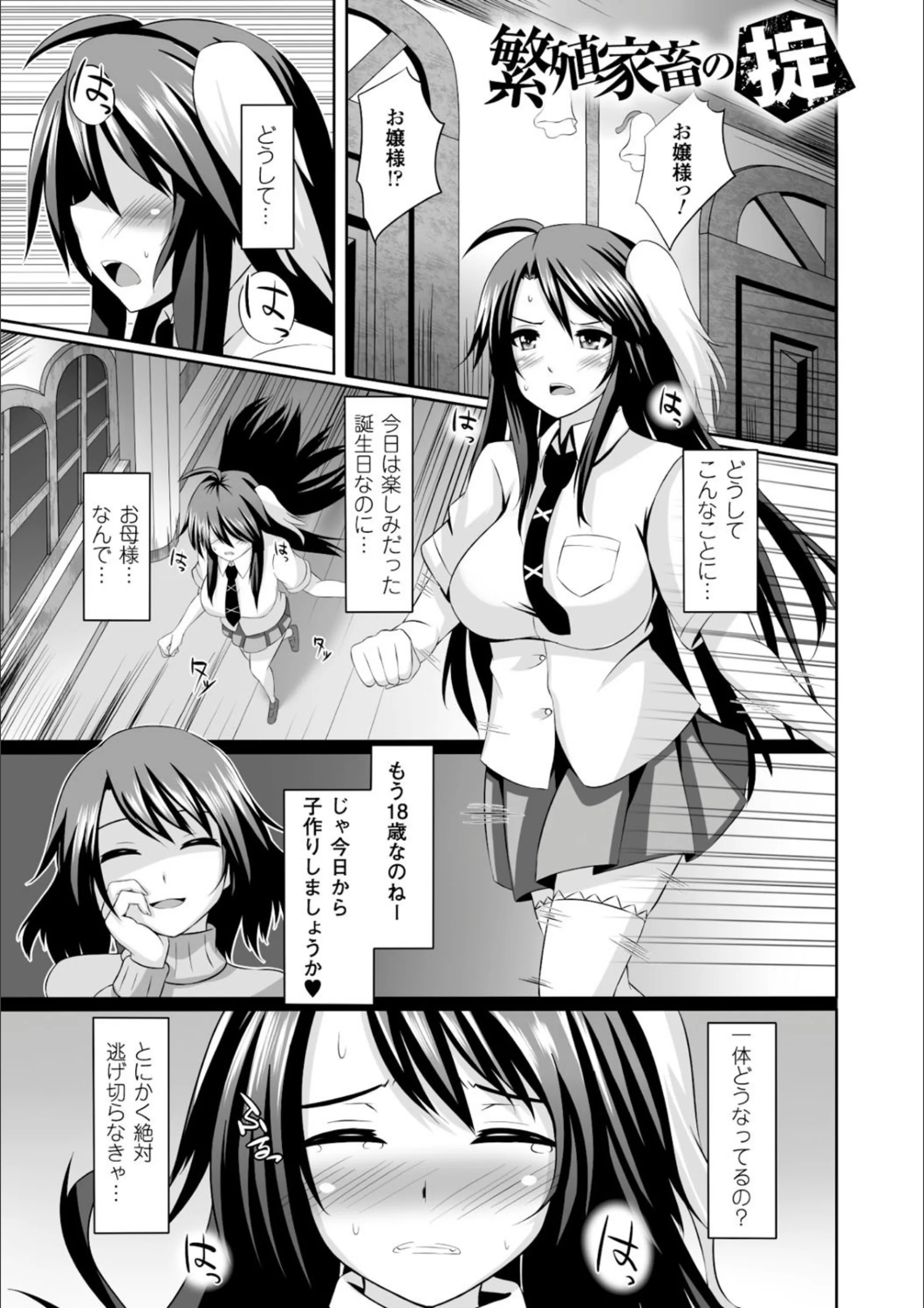 サンプル 5