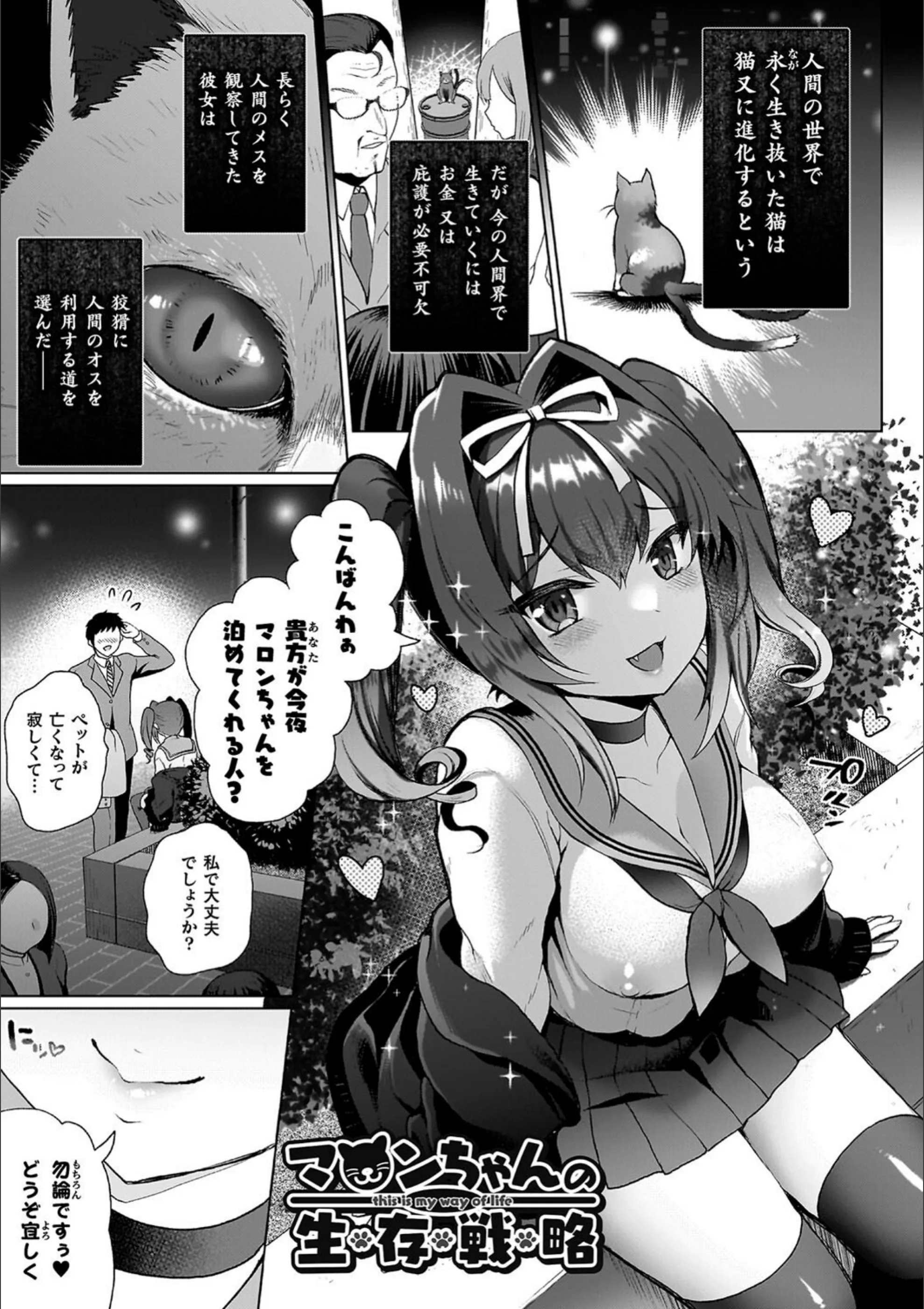 サンプル 18