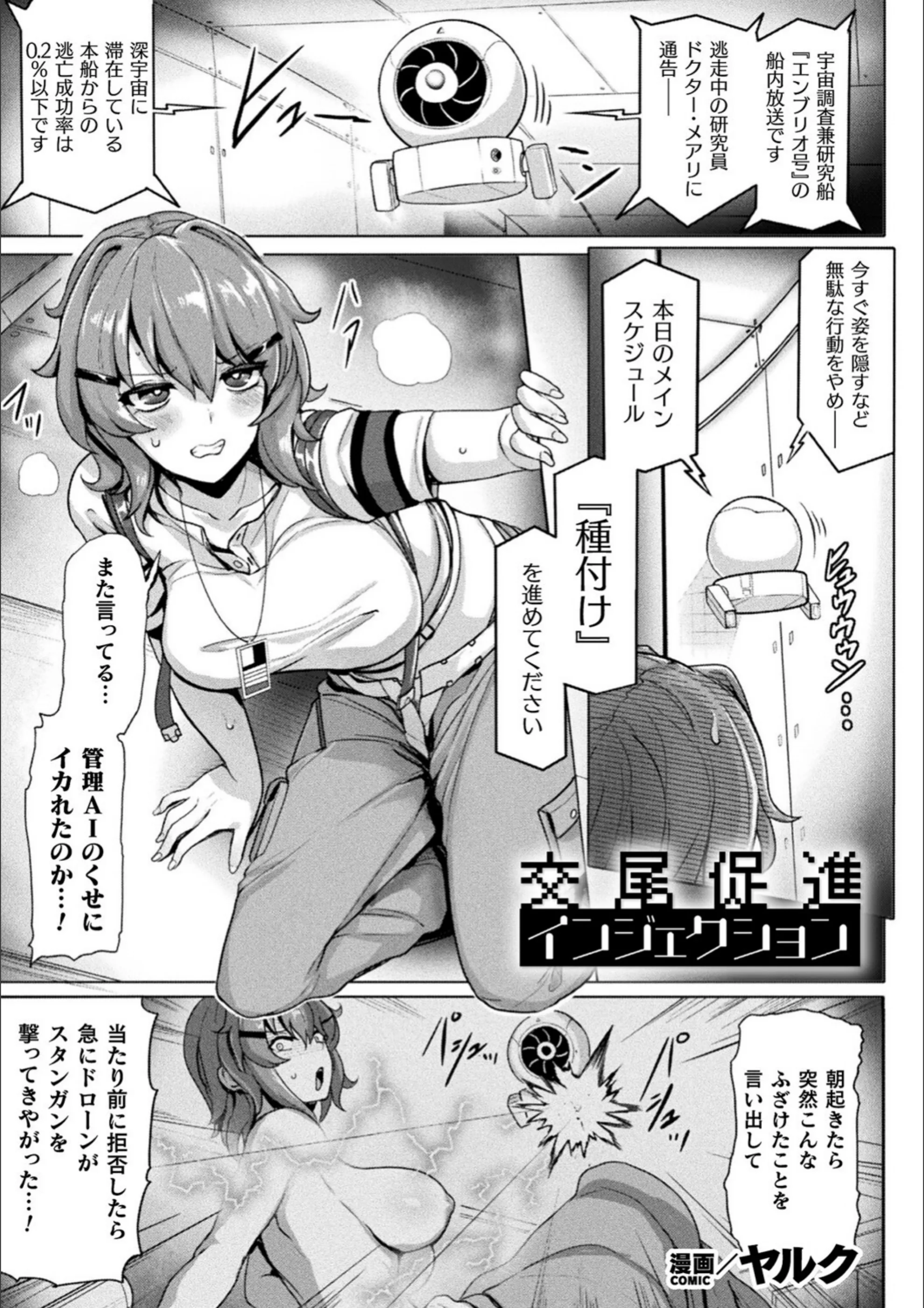 サンプル 11