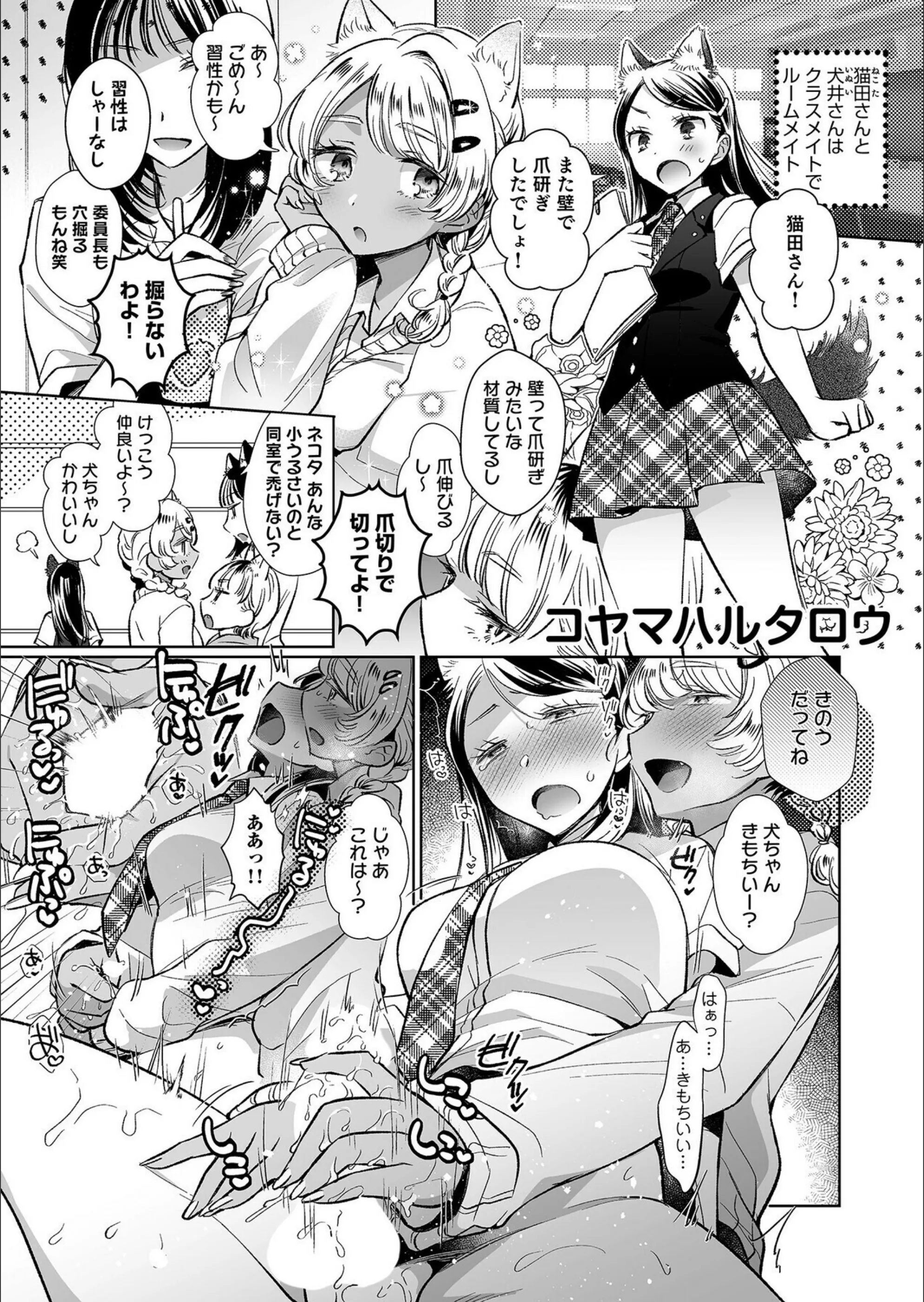 サンプル 5