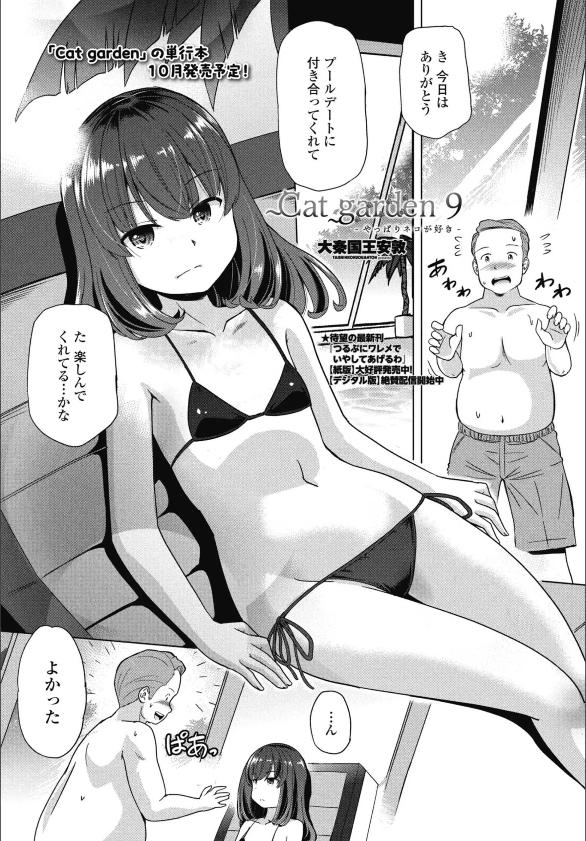 サンプル 43