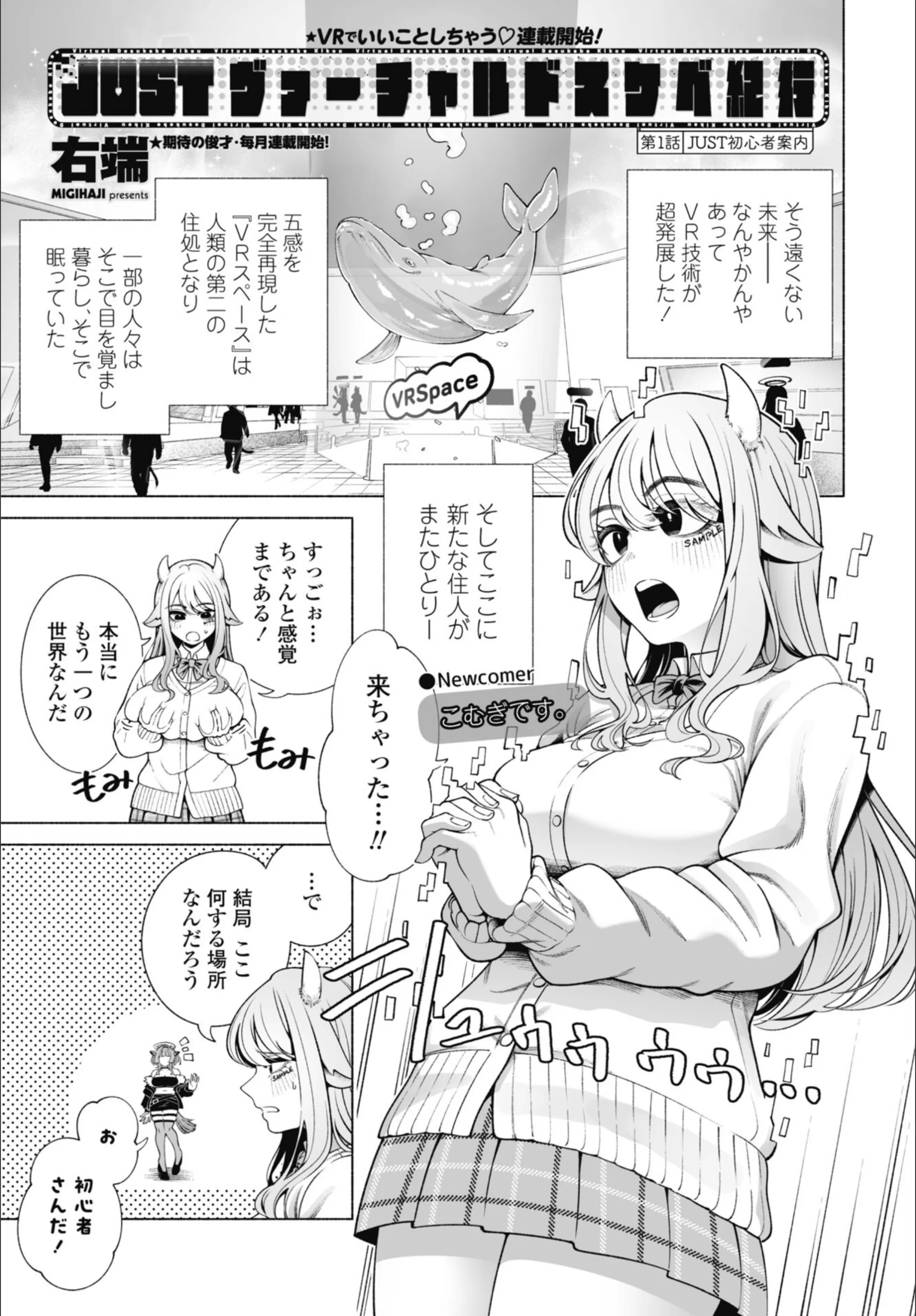 サンプル 47