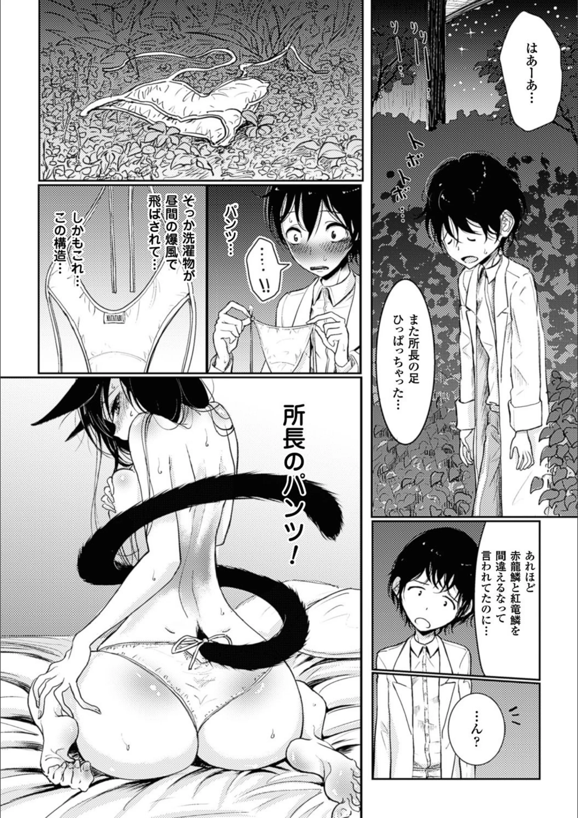 サンプル 6