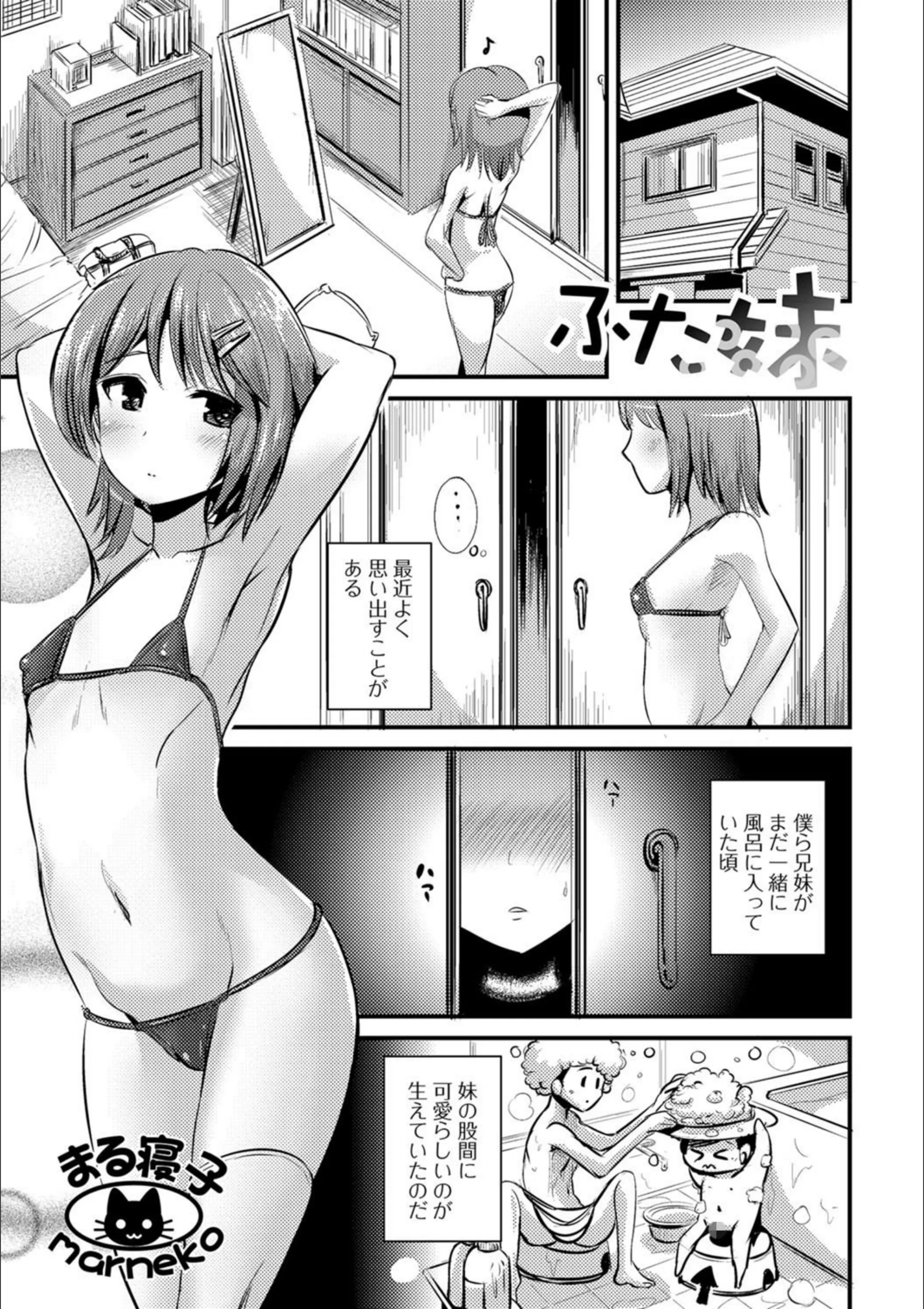 サンプル 1