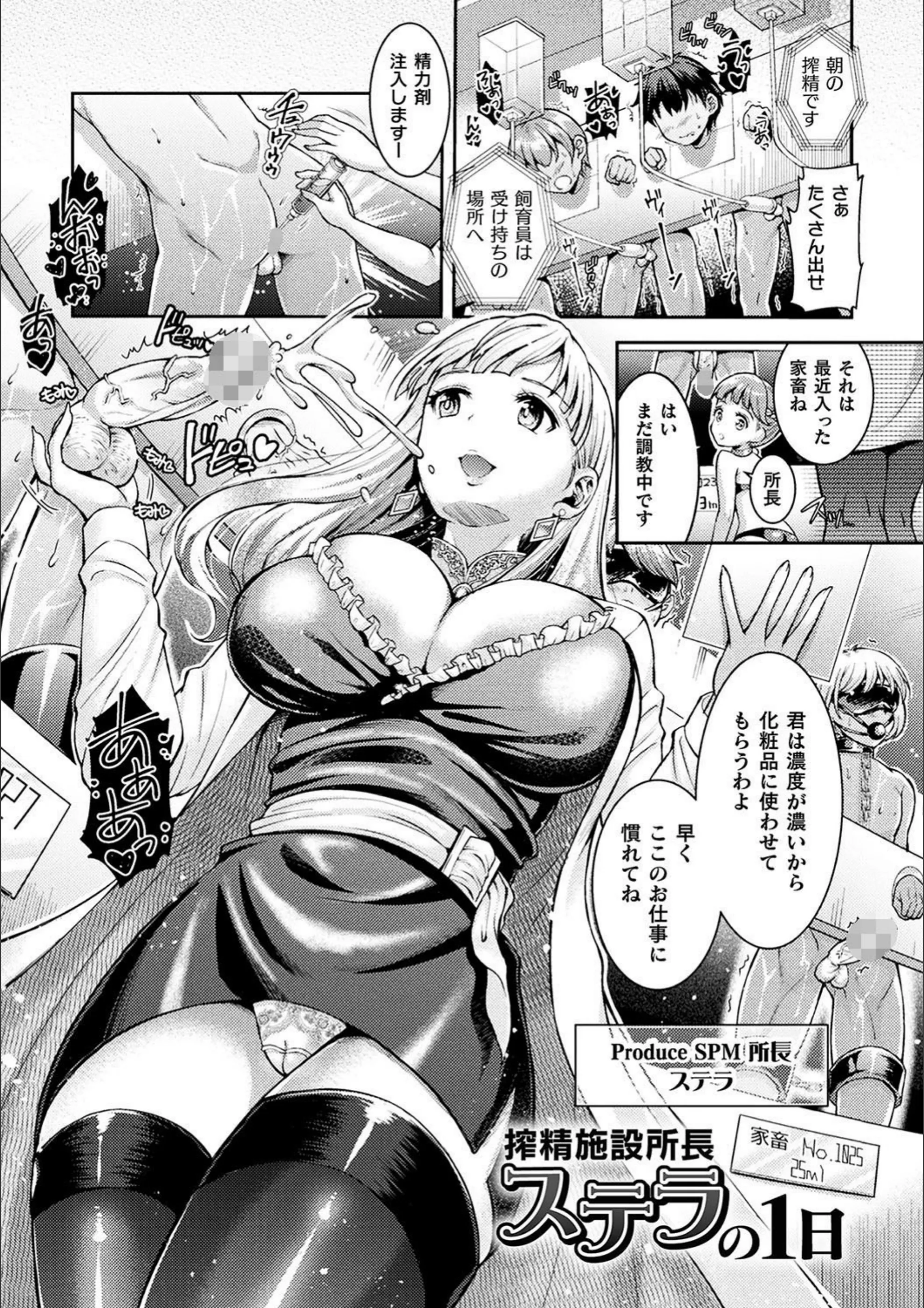 サンプル 40